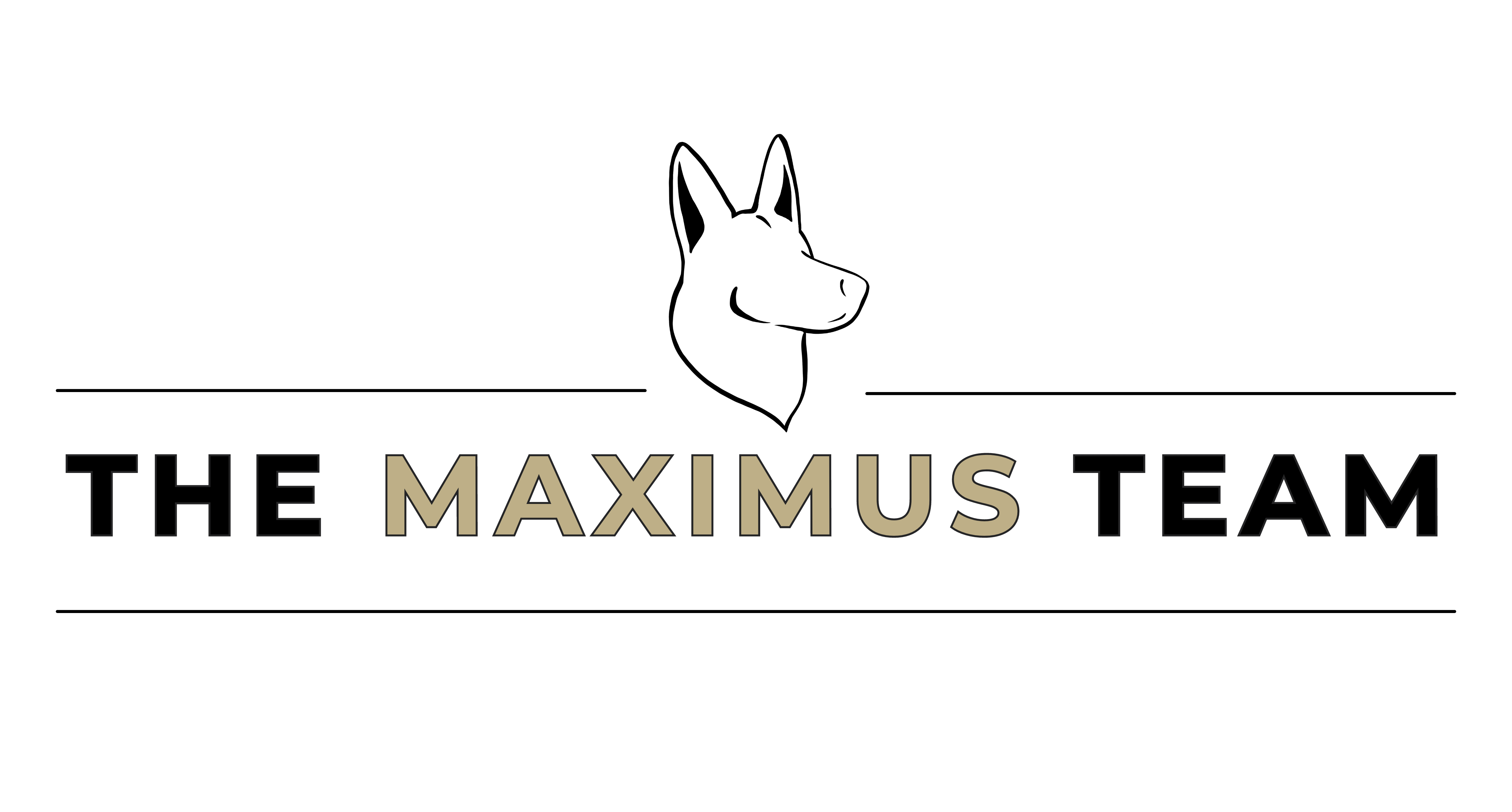 the maximus team (3000 x 3000 px)